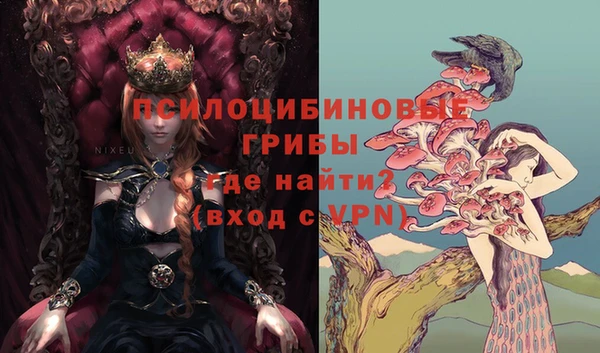 твердый Приозерск