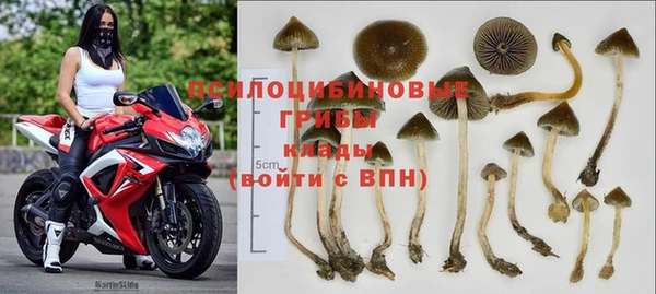 2c-b Балахна