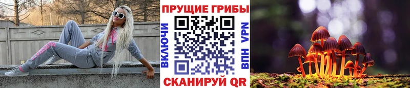 даркнет Telegram  Бронницы  Псилоцибиновые грибы GOLDEN TEACHER  купить  